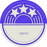 Shockstar Disco